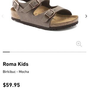 Birkenstock Brown Sandals with Adjustable Straps